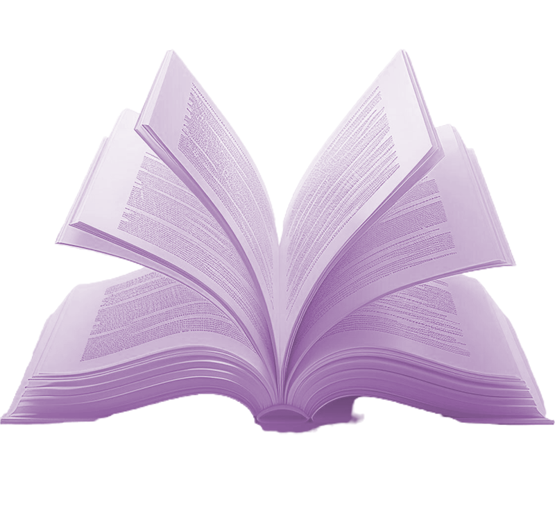 24 libro desh